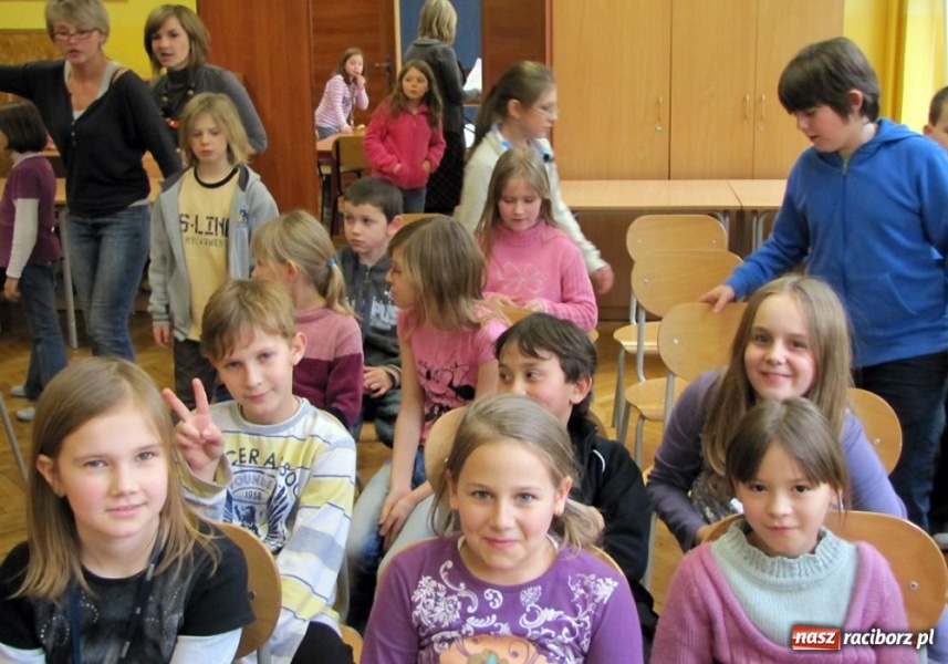 Zdjęcie w galerii na portalu naszraciborz.pl: Akcja SP 13 - owce w sieci wiadomości z regionu