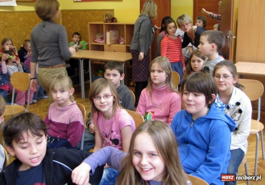 Zdjęcie w galerii na portalu naszraciborz.pl: Akcja SP 13 - owce w sieci wiadomości z regionu