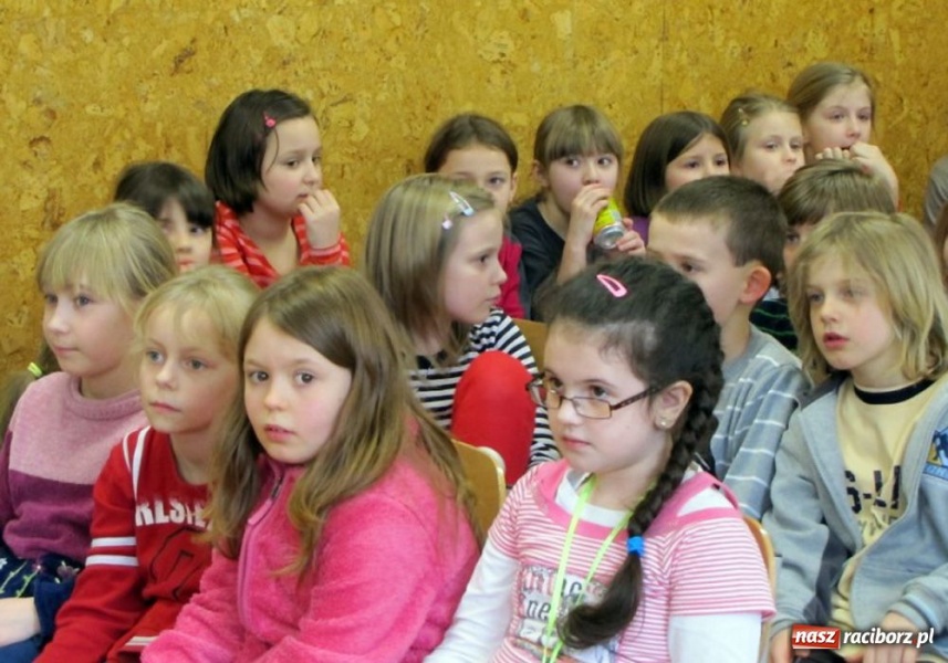 Zdjęcie w galerii na portalu naszraciborz.pl: Akcja SP 13 - owce w sieci wiadomości z regionu