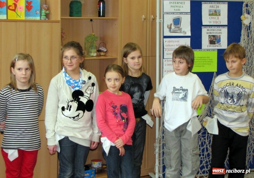 Zdjęcie w galerii na portalu naszraciborz.pl: Akcja SP 13 - owce w sieci wiadomości z regionu