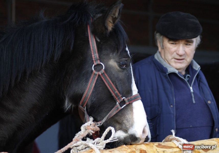 Zdjęcie w galerii na portalu naszraciborz.pl: Targ ruszył. Bez żadnych protestów wiadomości z regionu