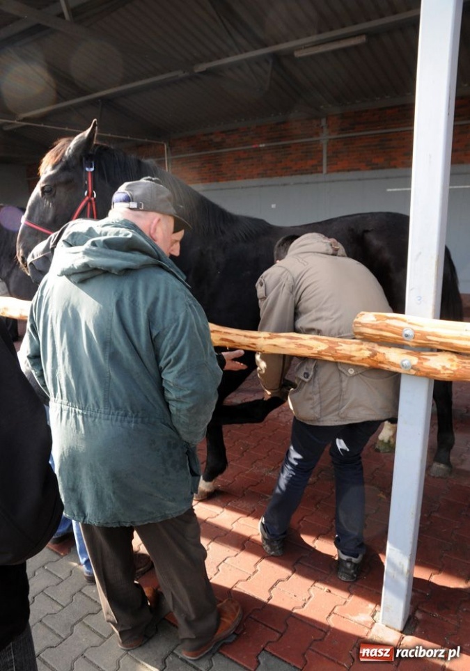 Zdjęcie w galerii na portalu naszraciborz.pl: Targ ruszył. Bez żadnych protestów wiadomości z regionu