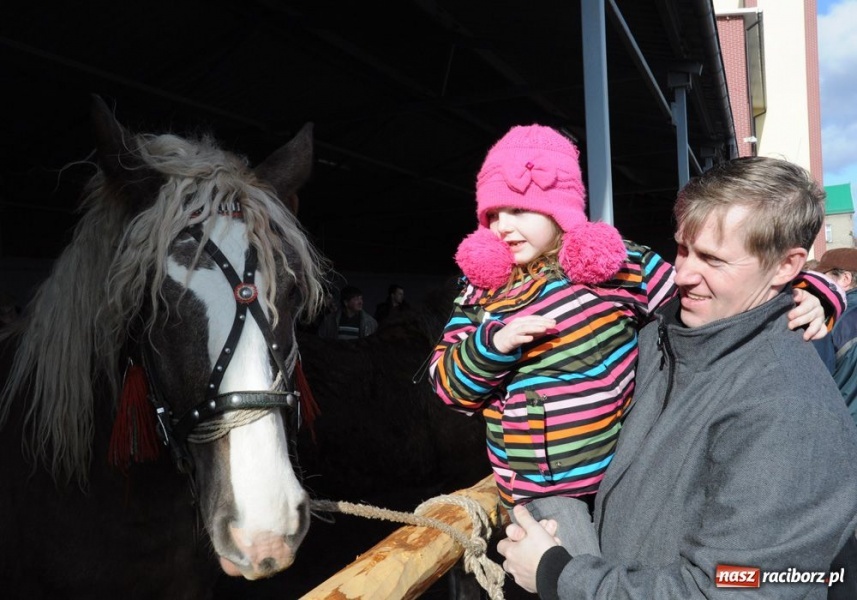 Zdjęcie w galerii na portalu naszraciborz.pl: Targ ruszył. Bez żadnych protestów wiadomości z regionu