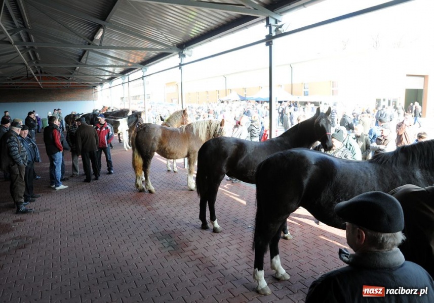 Zdjęcie w galerii na portalu naszraciborz.pl: Targ ruszył. Bez żadnych protestów wiadomości z regionu