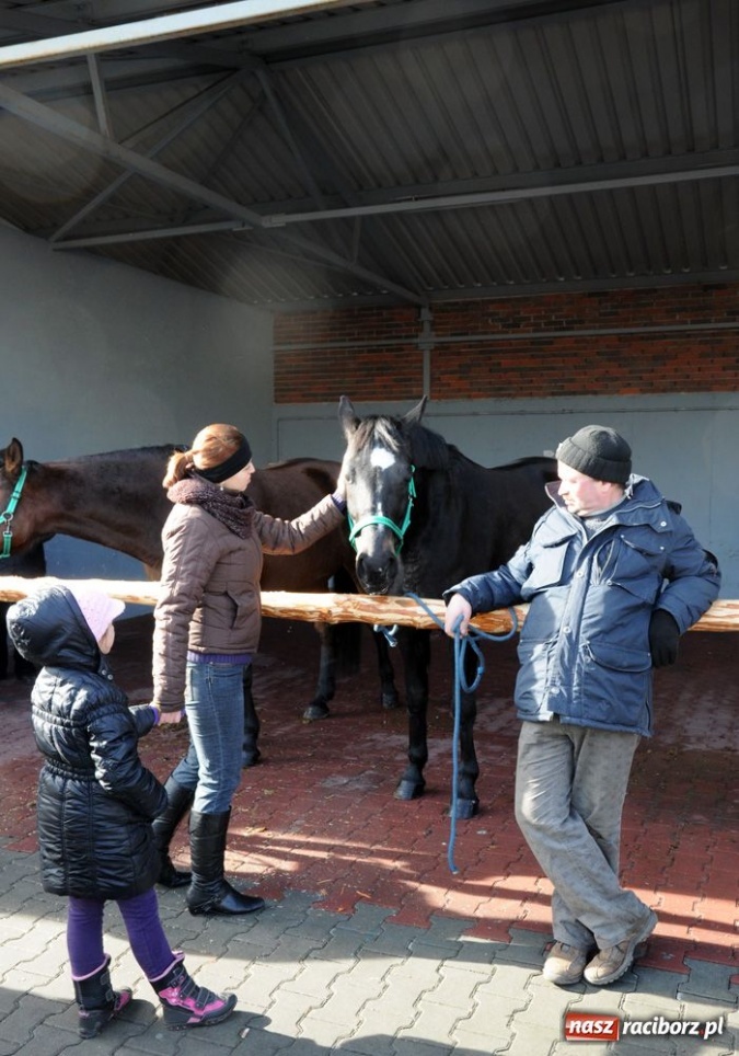 Zdjęcie w galerii na portalu naszraciborz.pl: Targ ruszył. Bez żadnych protestów wiadomości z regionu