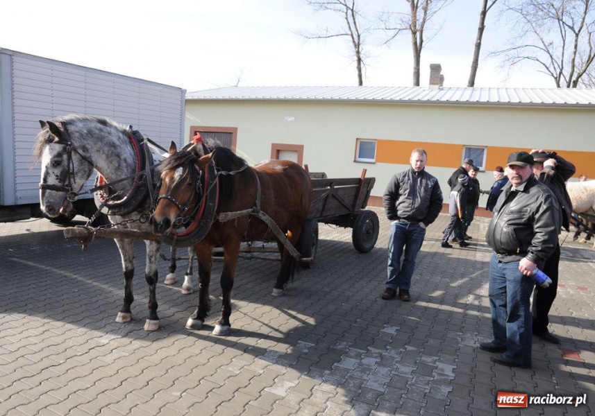 Zdjęcie w galerii na portalu naszraciborz.pl: Targ ruszył. Bez żadnych protestów wiadomości z regionu
