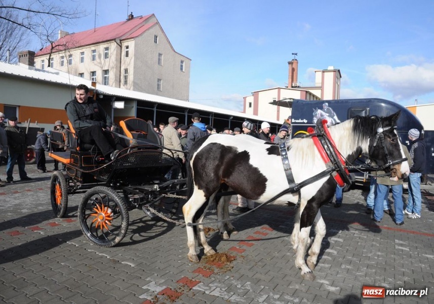 Zdjęcie w galerii na portalu naszraciborz.pl: Targ ruszył. Bez żadnych protestów wiadomości z regionu