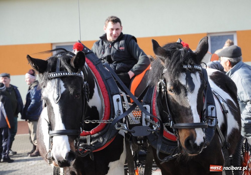 Zdjęcie w galerii na portalu naszraciborz.pl: Targ ruszył. Bez żadnych protestów wiadomości z regionu