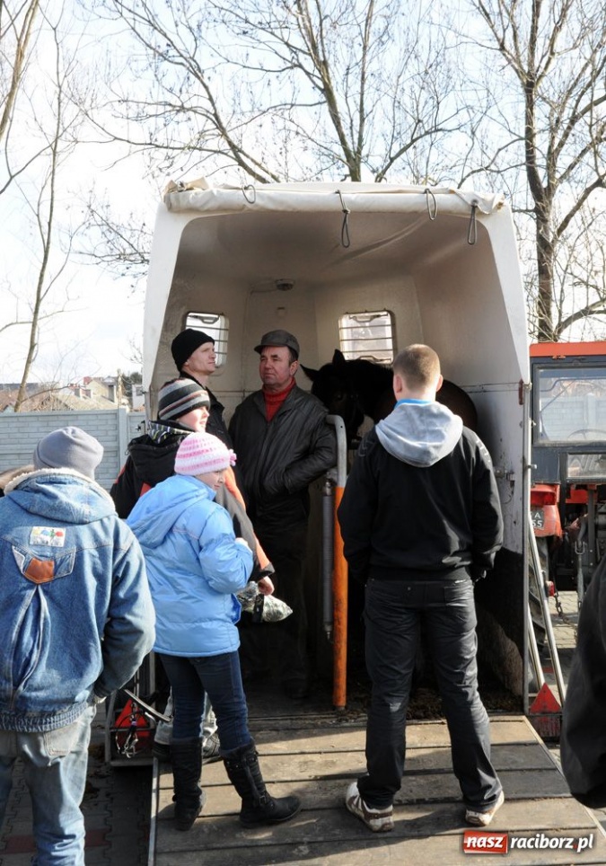 Zdjęcie w galerii na portalu naszraciborz.pl: Targ ruszył. Bez żadnych protestów wiadomości z regionu