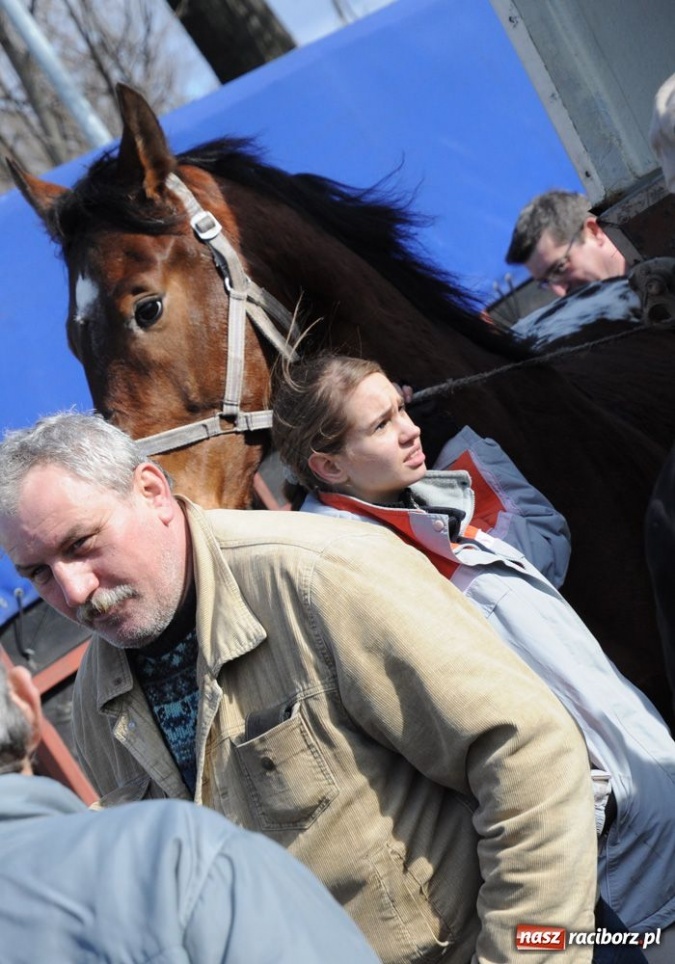 Zdjęcie w galerii na portalu naszraciborz.pl: Targ ruszył. Bez żadnych protestów wiadomości z regionu