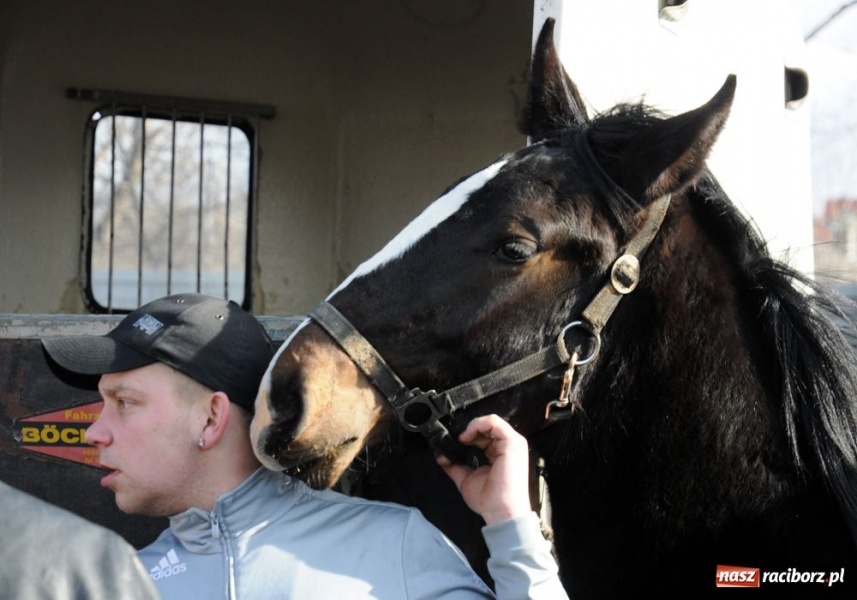 Zdjęcie w galerii na portalu naszraciborz.pl: Targ ruszył. Bez żadnych protestów wiadomości z regionu