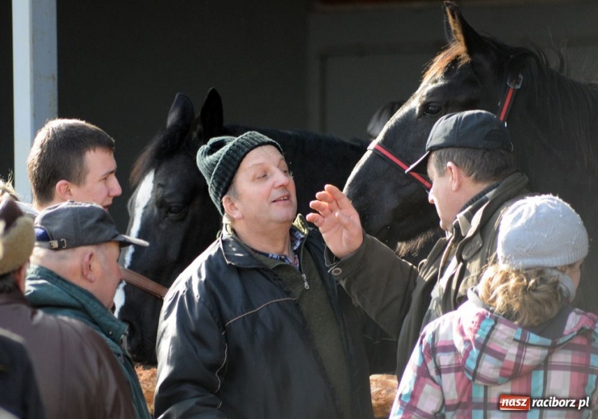 Zdjęcie w galerii na portalu naszraciborz.pl: Targ ruszył. Bez żadnych protestów wiadomości z regionu