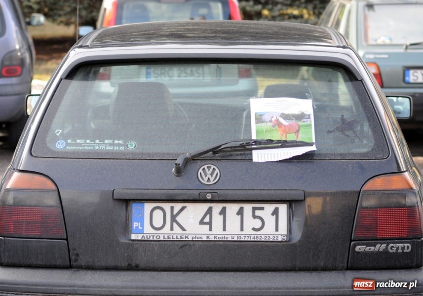 Zdjęcie w galerii na portalu naszraciborz.pl: Targ ruszył. Bez żadnych protestów wiadomości z regionu
