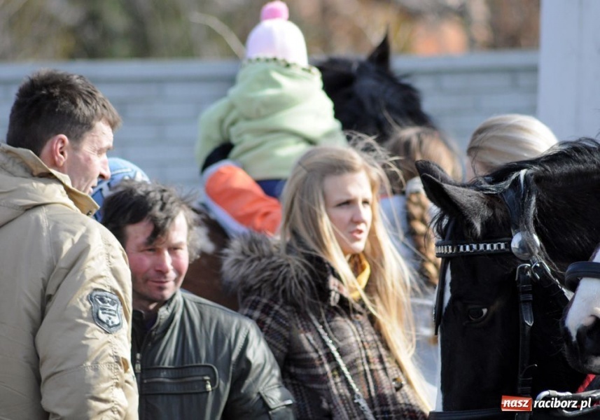 Zdjęcie w galerii na portalu naszraciborz.pl: Targ ruszył. Bez żadnych protestów wiadomości z regionu