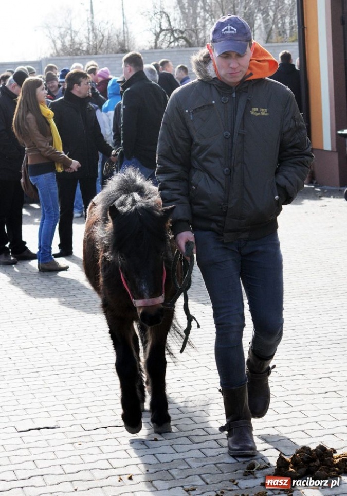 Zdjęcie w galerii na portalu naszraciborz.pl: Targ ruszył. Bez żadnych protestów wiadomości z regionu