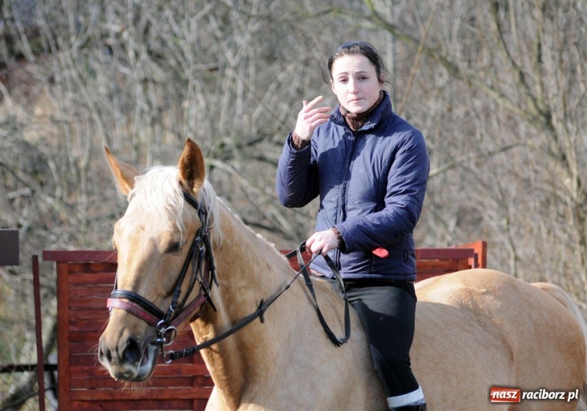 Zdjęcie w galerii na portalu naszraciborz.pl: Targ ruszył. Bez żadnych protestów wiadomości z regionu