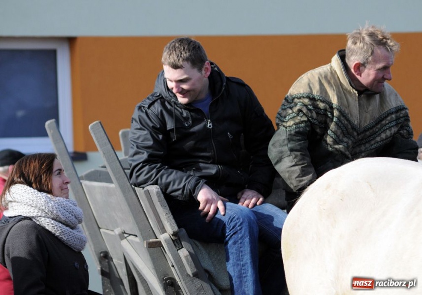 Zdjęcie w galerii na portalu naszraciborz.pl: Targ ruszył. Bez żadnych protestów wiadomości z regionu