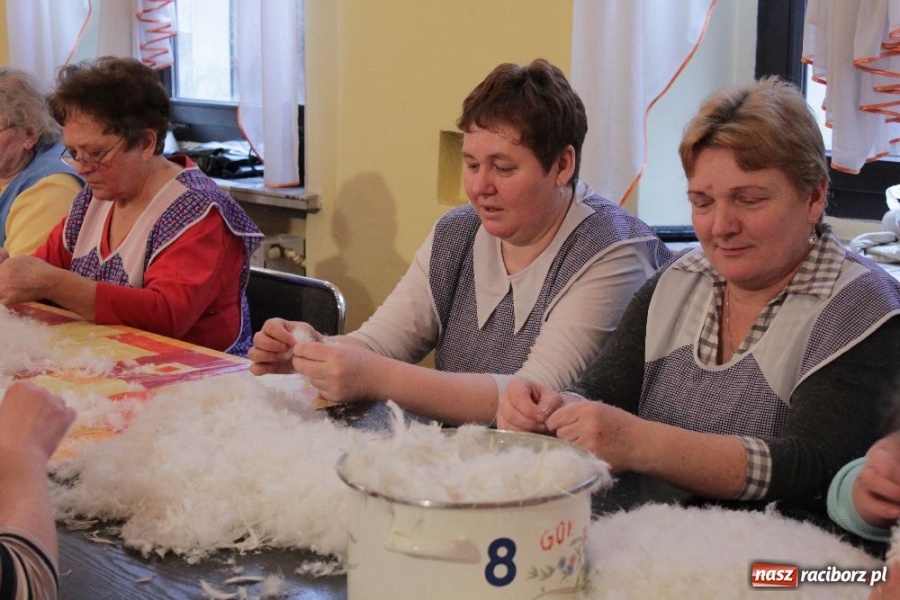Zdjęcie w galerii na portalu naszraciborz.pl: I znów leciało pierze... wiadomości z regionu