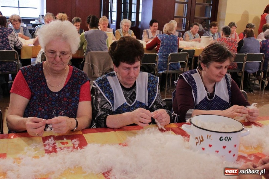 Zdjęcie w galerii na portalu naszraciborz.pl: I znów leciało pierze... wiadomości z regionu