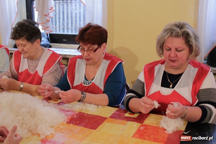 Zdjęcie w galerii na portalu naszraciborz.pl: I znów leciało pierze... wiadomości z regionu