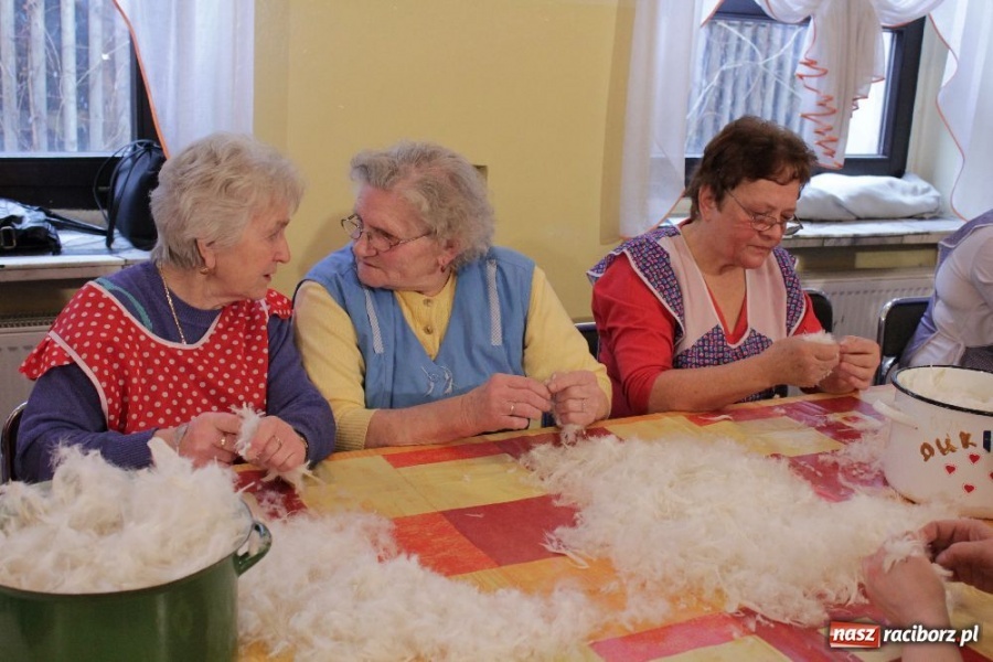 Zdjęcie w galerii na portalu naszraciborz.pl: I znów leciało pierze... wiadomości z regionu
