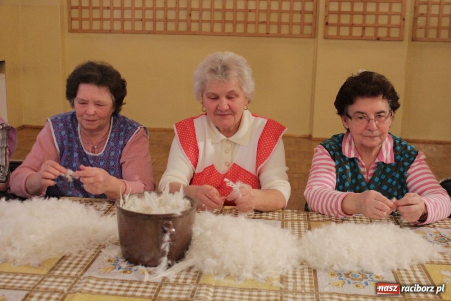 Zdjęcie w galerii na portalu naszraciborz.pl: I znów leciało pierze... wiadomości z regionu