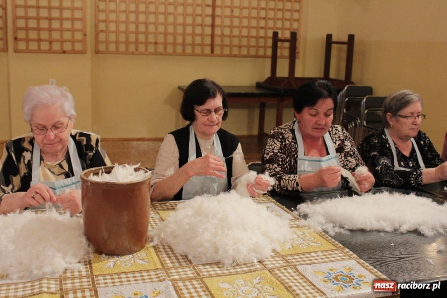 Zdjęcie w galerii na portalu naszraciborz.pl: I znów leciało pierze... wiadomości z regionu