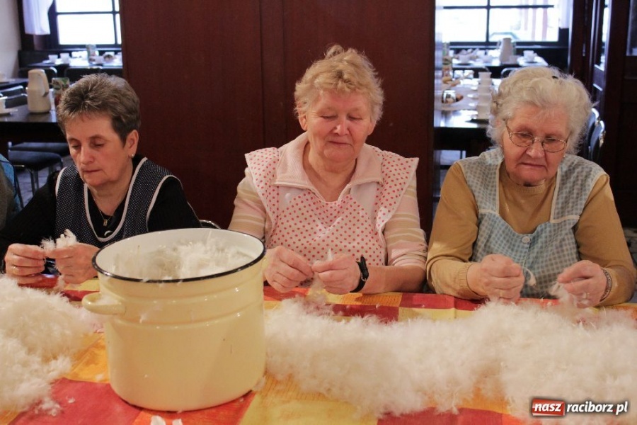 Zdjęcie w galerii na portalu naszraciborz.pl: I znów leciało pierze... wiadomości z regionu