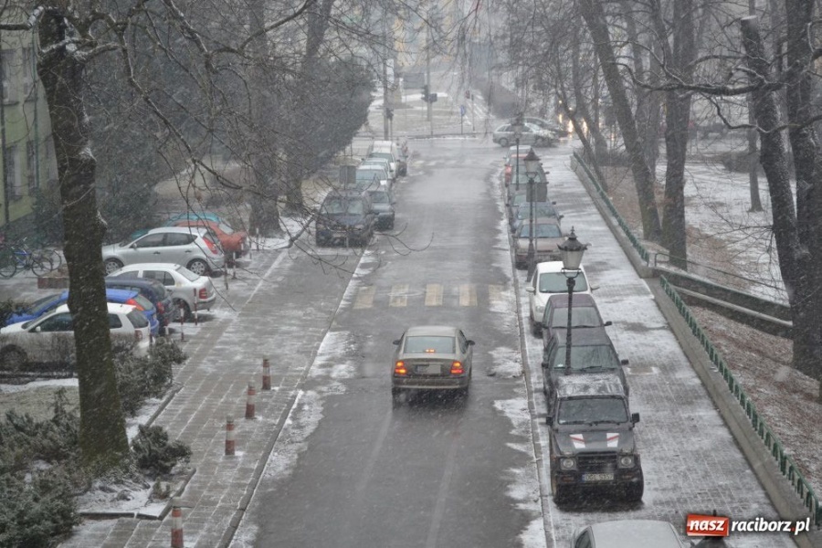 Zdjęcie w galerii na portalu naszraciborz.pl: Akcja policji pod Mechanikiem wiadomości z regionu