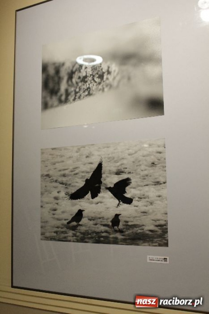 Zdjęcie w galerii na portalu naszraciborz.pl: Nauczyli się patrzeć na świat wiadomości z regionu