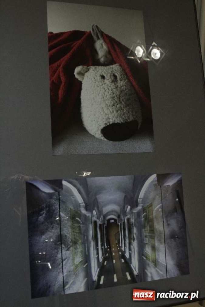 Zdjęcie w galerii na portalu naszraciborz.pl: Nauczyli się patrzeć na świat wiadomości z regionu