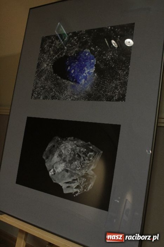 Zdjęcie w galerii na portalu naszraciborz.pl: Nauczyli się patrzeć na świat wiadomości z regionu