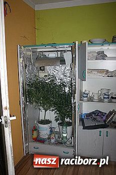 Zdjęcie w galerii na portalu naszraciborz.pl: Wpadka z narkotykami... wiadomości z regionu