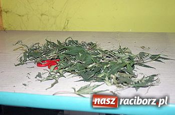 Zdjęcie w galerii na portalu naszraciborz.pl: Wpadka z narkotykami... wiadomości z regionu