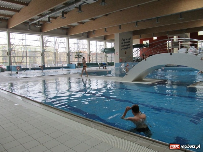 Zdjęcie w galerii na portalu naszraciborz.pl: Pływanie: Raciborskie medale wiadomości z regionu