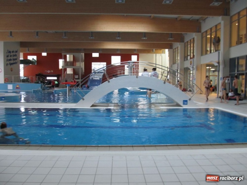 Zdjęcie w galerii na portalu naszraciborz.pl: Pływanie: Raciborskie medale wiadomości z regionu