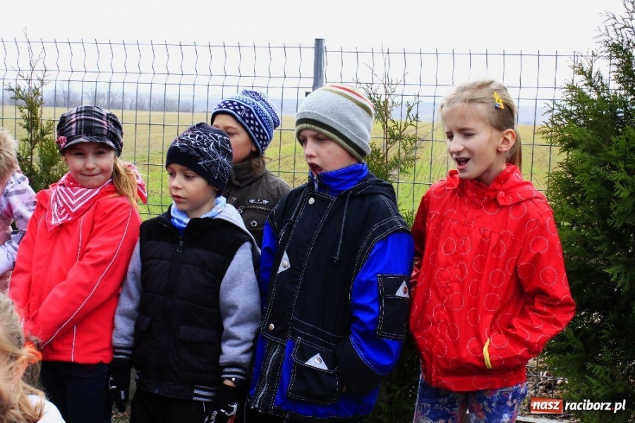 Zdjęcie w galerii na portalu naszraciborz.pl: Do Wojnowic zima już nie wróci wiadomości z regionu