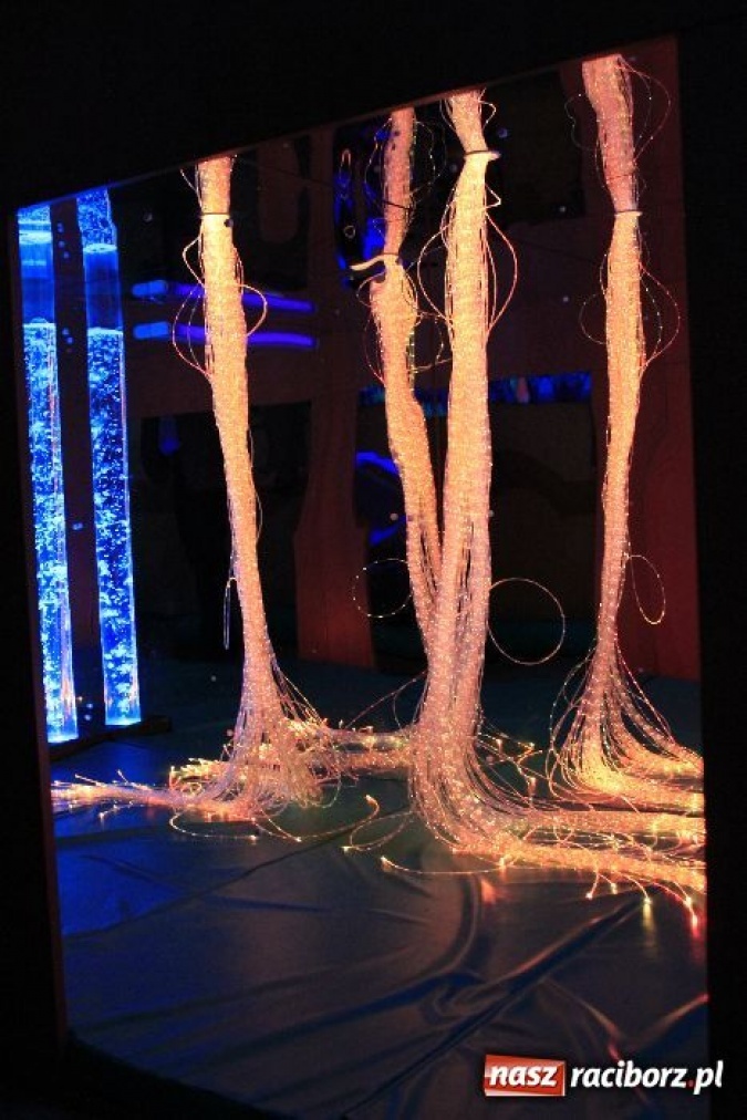 Zdjęcie w galerii na portalu naszraciborz.pl: Komisja oświaty zwiedziła ZSS wiadomości z regionu