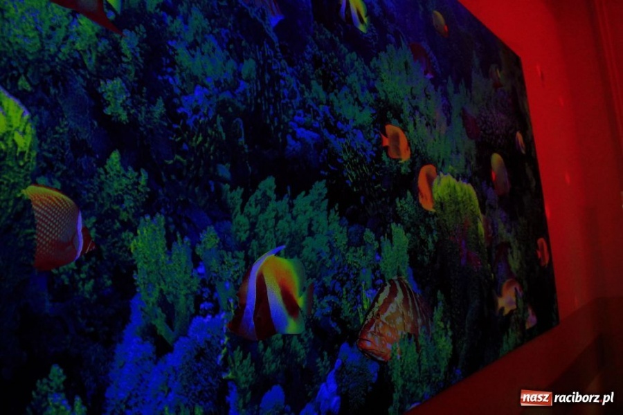 Zdjęcie w galerii na portalu naszraciborz.pl: Komisja oświaty zwiedziła ZSS wiadomości z regionu