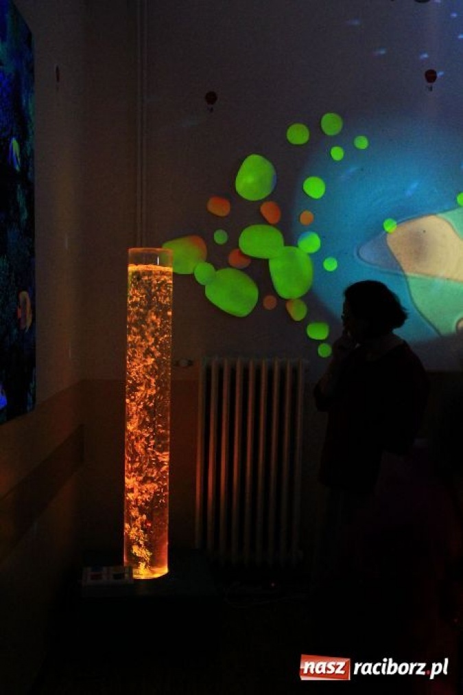 Zdjęcie w galerii na portalu naszraciborz.pl: Komisja oświaty zwiedziła ZSS wiadomości z regionu