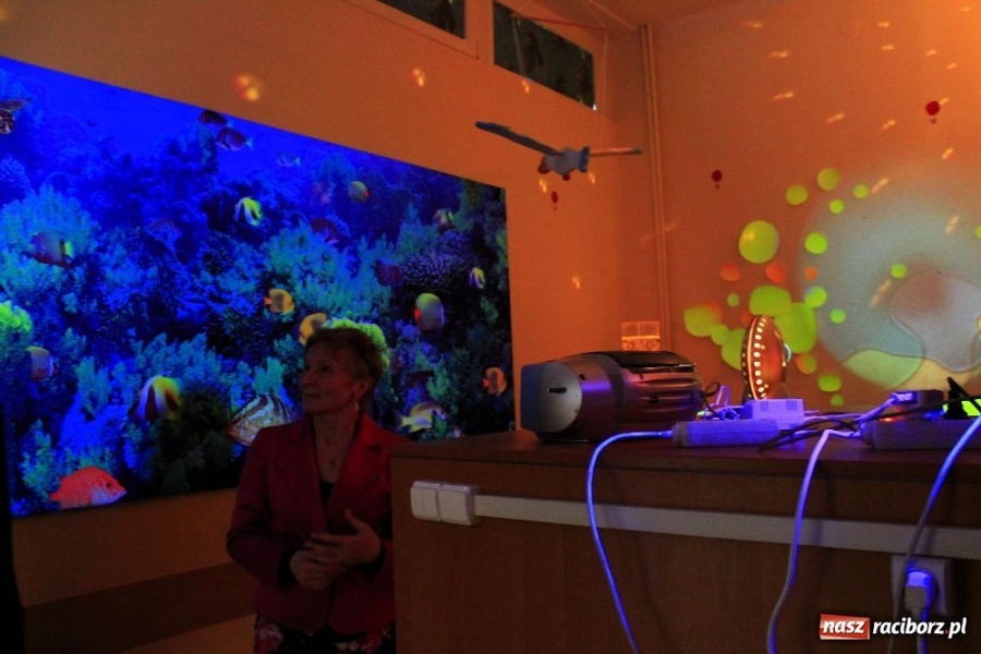 Zdjęcie w galerii na portalu naszraciborz.pl: Komisja oświaty zwiedziła ZSS wiadomości z regionu