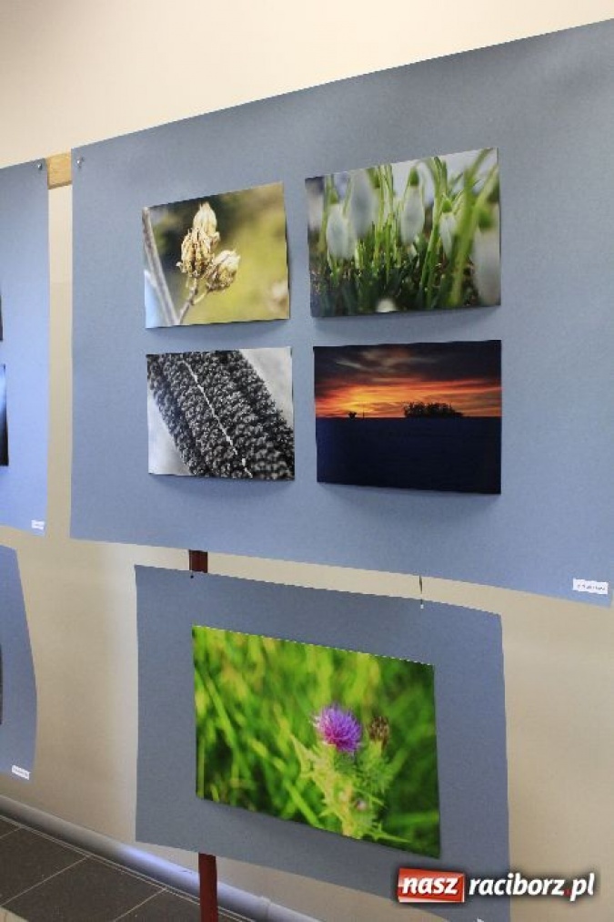 Zdjęcie w galerii na portalu naszraciborz.pl: Słońce w Tobie szansa dla młodych... wiadomości z regionu