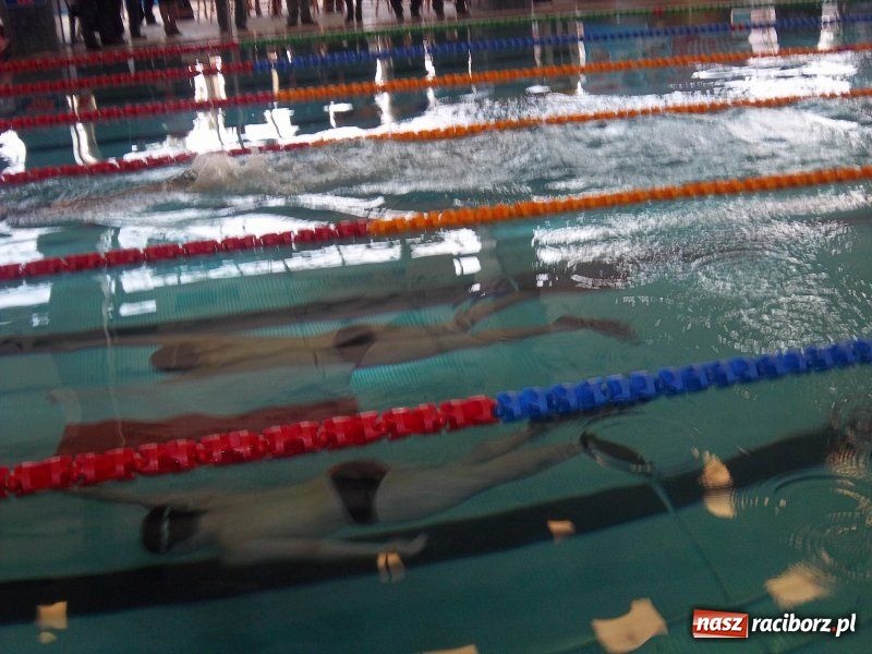Zdjęcie w galerii na portalu naszraciborz.pl: Mistrzostwa Polski Szkół w pływaniu wiadomości z regionu