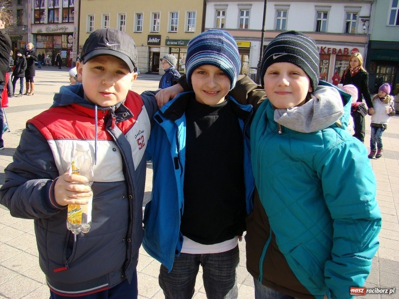 Zdjęcie w galerii na portalu naszraciborz.pl: Zielona Wyspa Śląsk wiadomości z regionu