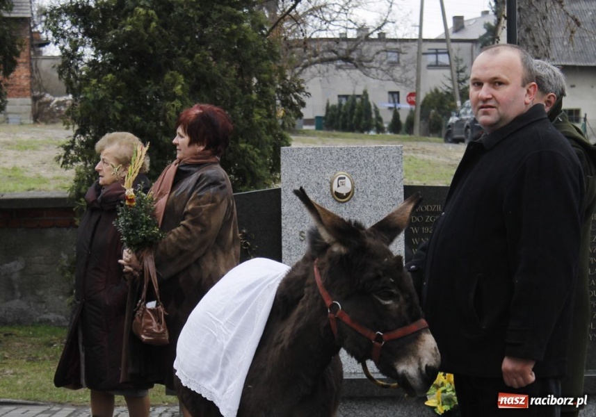 Zdjęcie w galerii na portalu naszraciborz.pl: Niedziela Palmowa w Brzeziu wiadomości z regionu