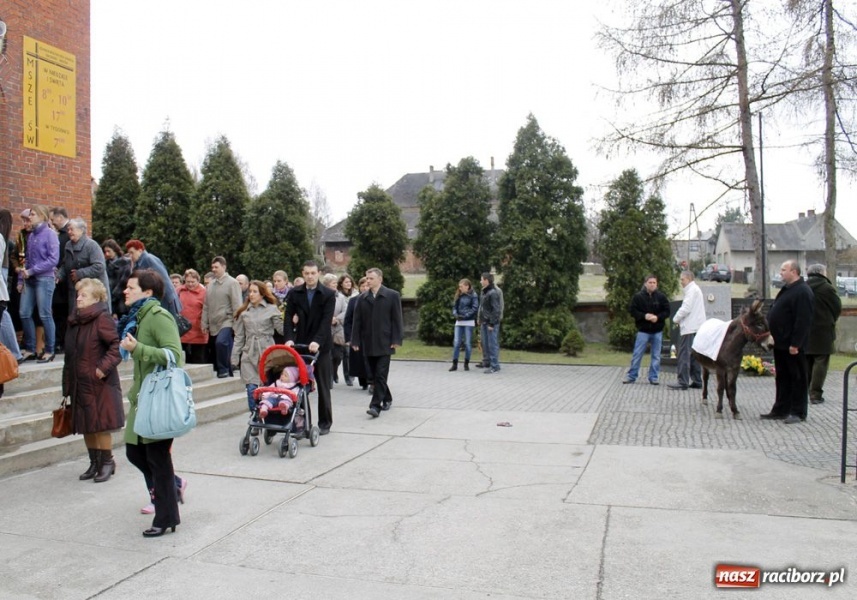 Zdjęcie w galerii na portalu naszraciborz.pl: Niedziela Palmowa w Brzeziu wiadomości z regionu