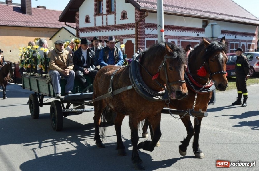 Zdjęcie w galerii na portalu naszraciborz.pl: Lider RAŚ konno w Pietrowicach Wielkich wiadomości z regionu