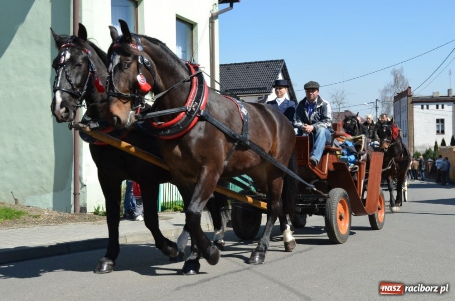 Zdjęcie w galerii na portalu naszraciborz.pl: Lider RAŚ konno w Pietrowicach Wielkich wiadomości z regionu