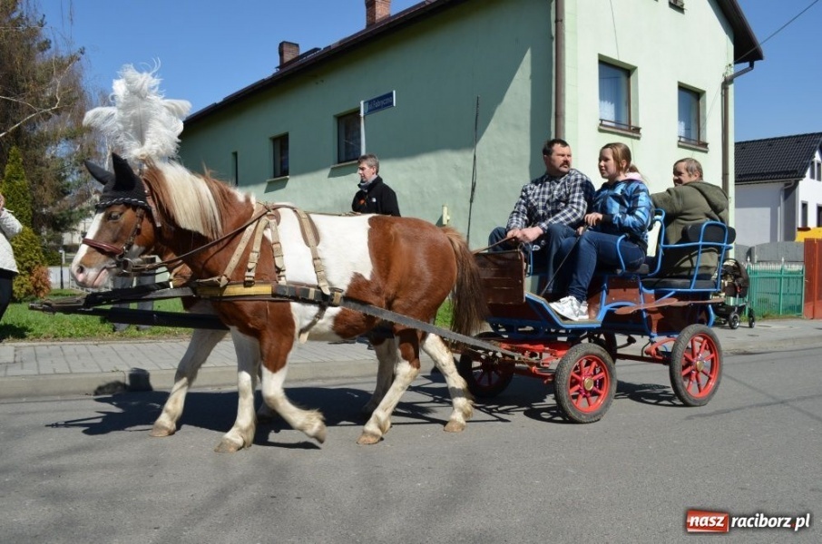 Zdjęcie w galerii na portalu naszraciborz.pl: Lider RAŚ konno w Pietrowicach Wielkich wiadomości z regionu