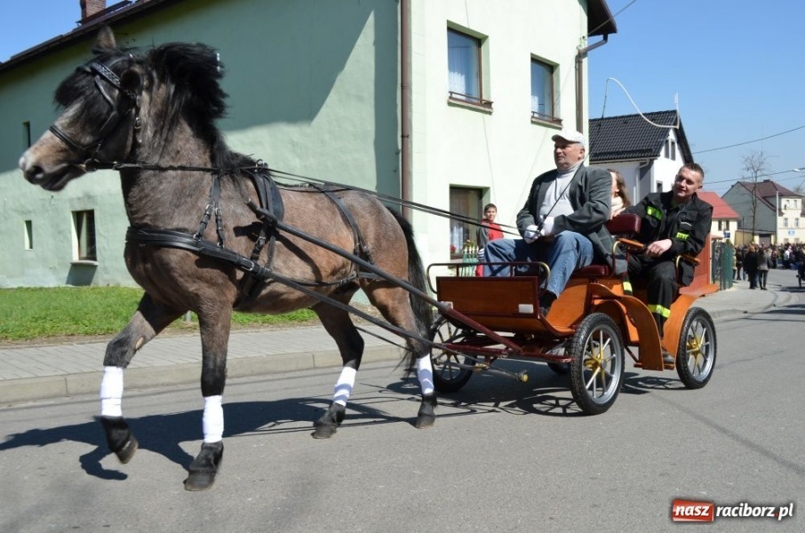Zdjęcie w galerii na portalu naszraciborz.pl: Lider RAŚ konno w Pietrowicach Wielkich wiadomości z regionu
